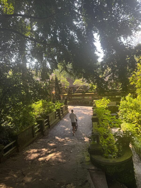 Wandeling met de Joolz Aer²